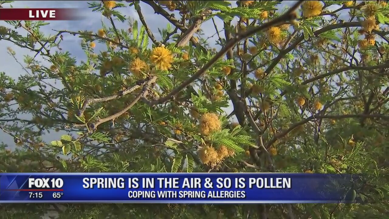 Spring is in the air and so is pollen