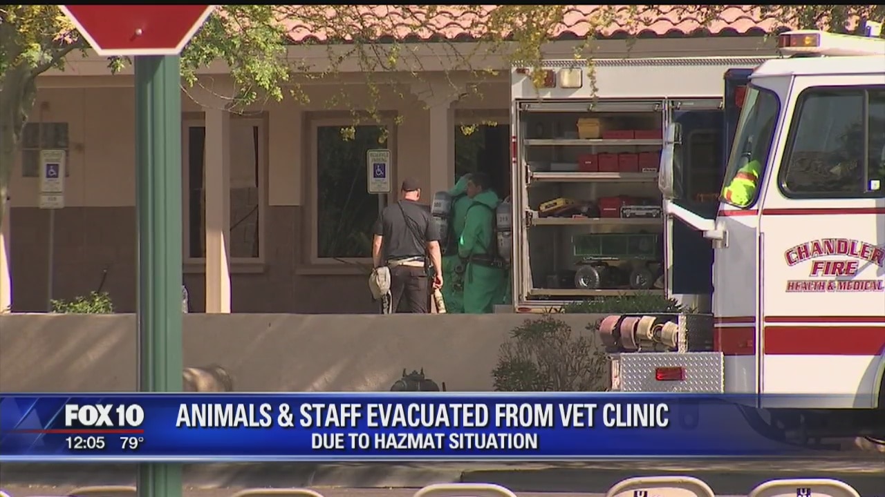 Animals evacuated from Gilbert vet clinic due to hazmat situation