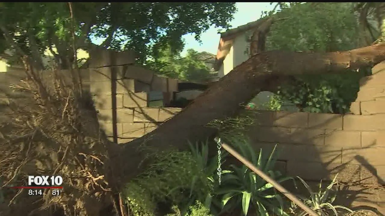 Residents cleaning up property damage after weekend monsoon