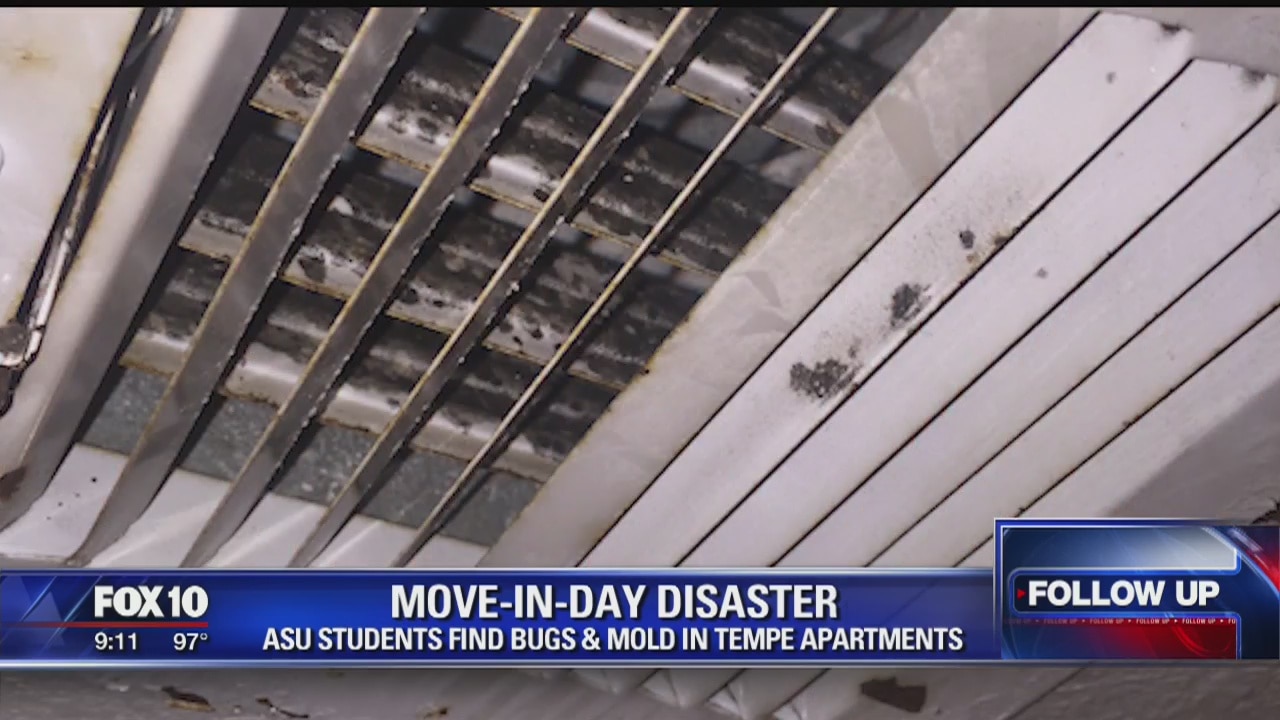 Fallout over poor conditions at Tempe apartment continues