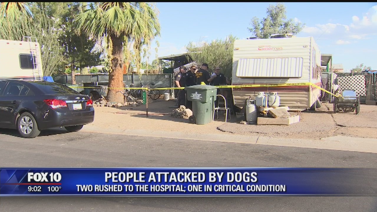 Pet owners nearly mauled to death by their group of canines