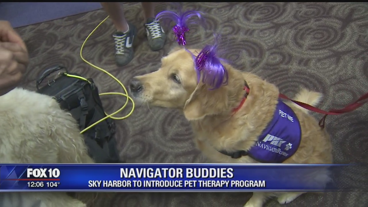 Sky Harbor introduces Navigator Buddies pilot program