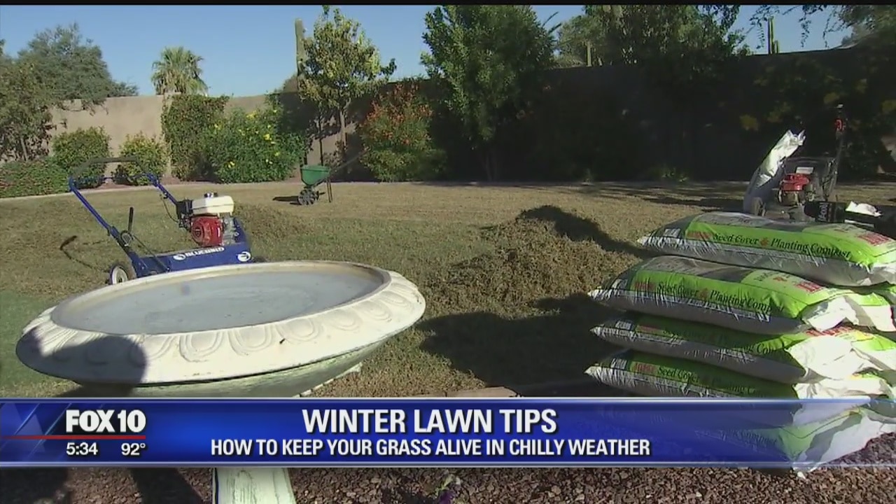 How to transition your grass from summer to winter