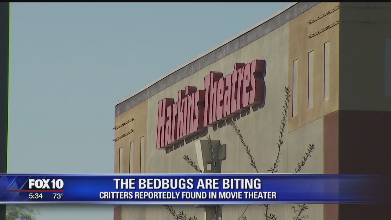 Bedbugs ruin family outing at Phoenix movie theater