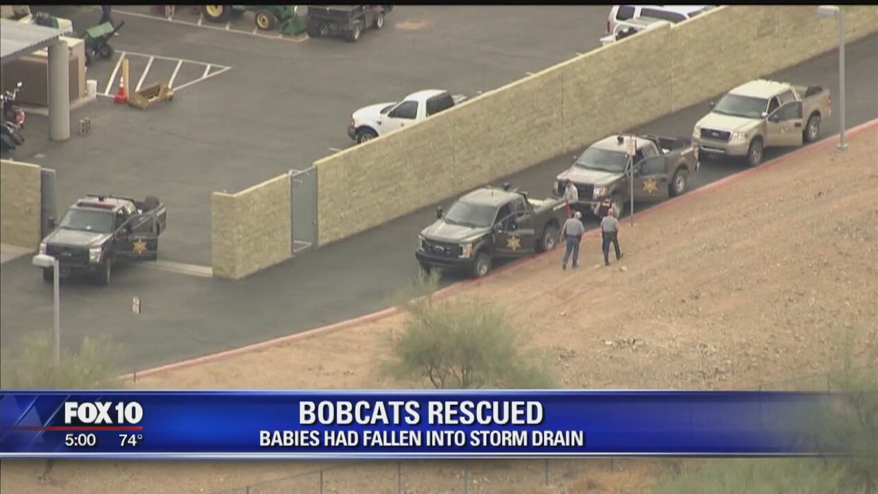 Bobcats prompt lockdown at Boulder Creek High School