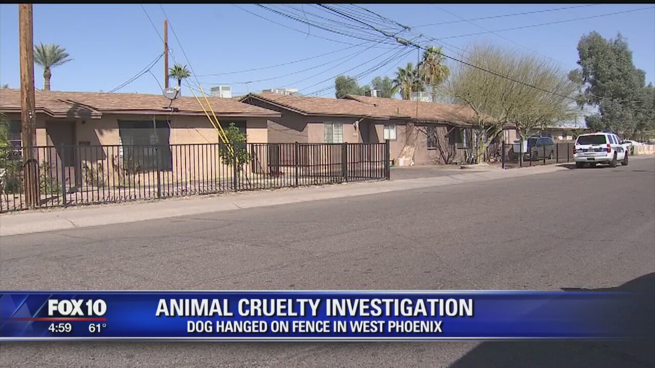 Dog found hung from fence; animal cruelty investigation underway