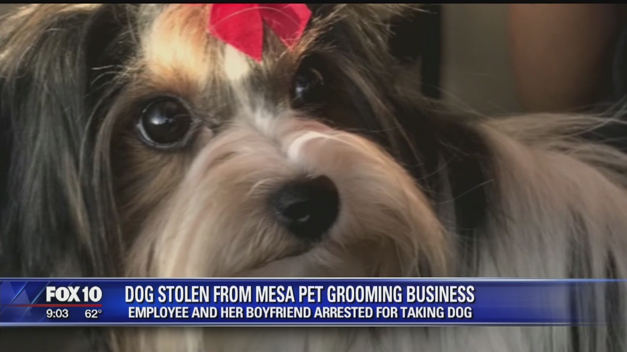 Two arrested, accused of stealing dog at groomers