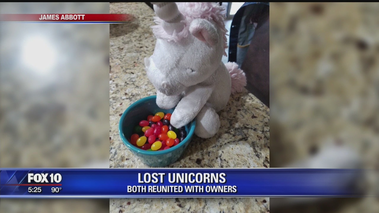 Man reunites two lost unicorn stuffed animal with owners