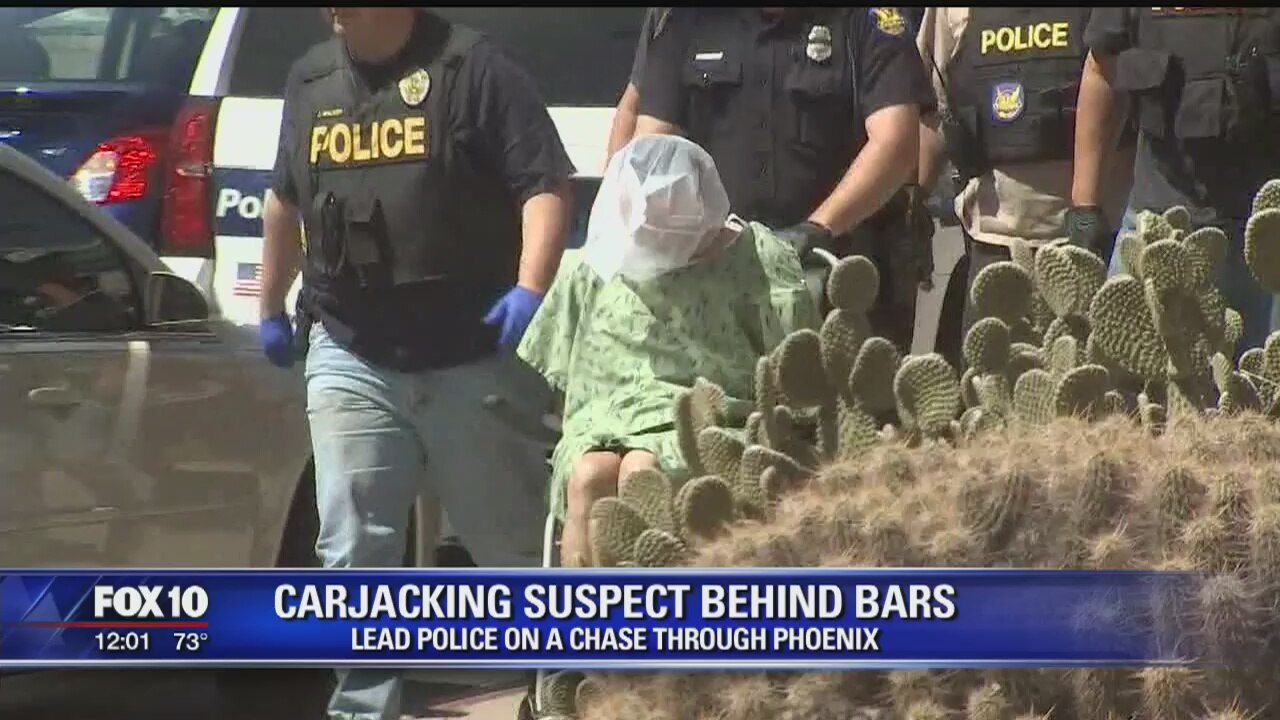 Phoenix police take pursuit suspect into custody; K-9 dog killed during incident