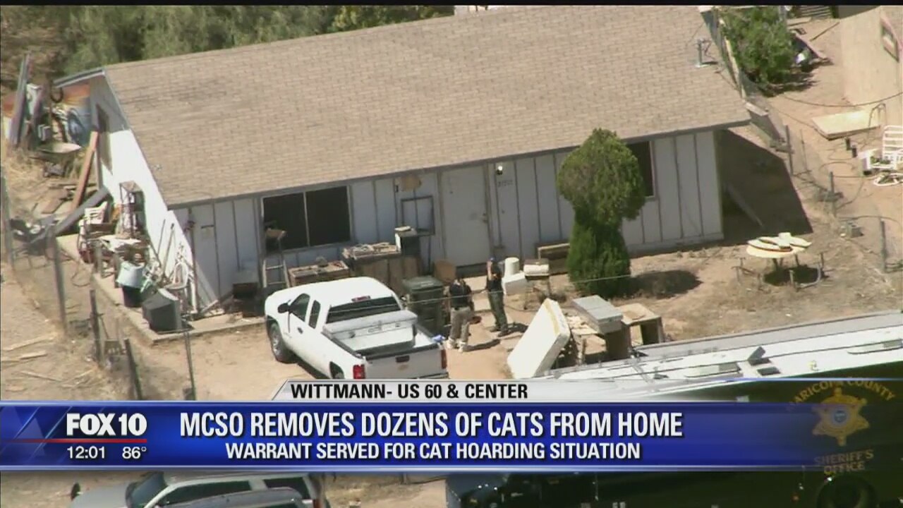 MCSO: Up to 30 cats removed from Wittmann residence