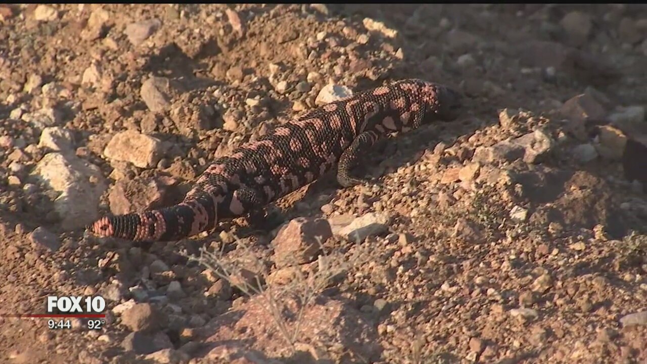 Taking a look at another group of Herpers