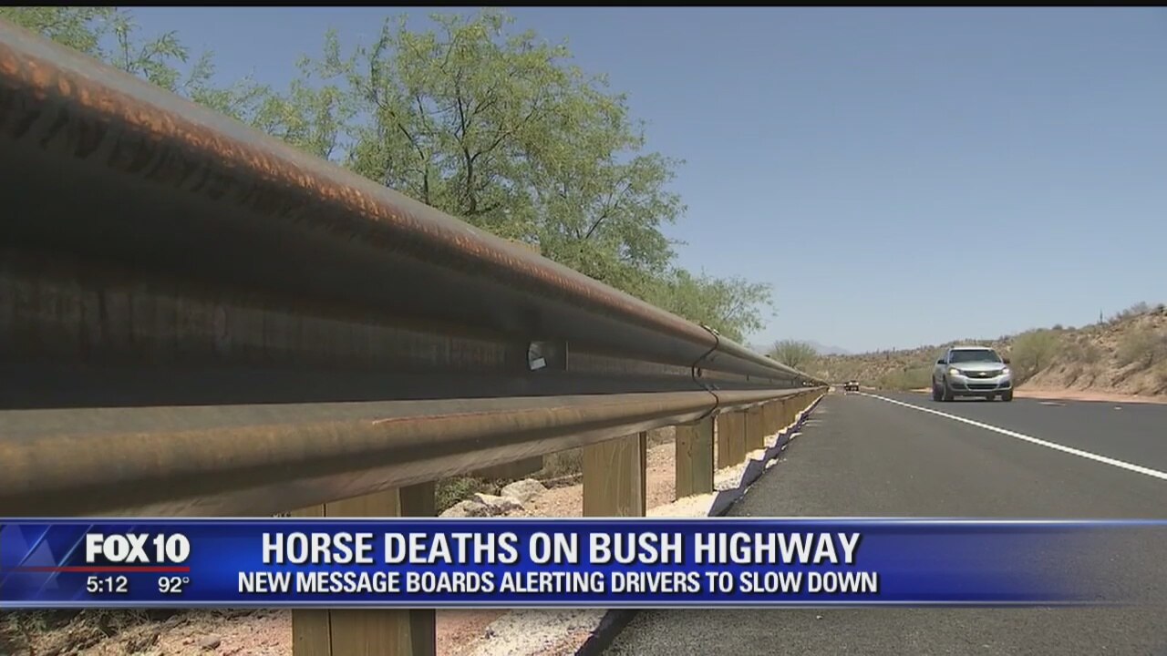 Changes coming to Bush Highway to protect Salt River horses