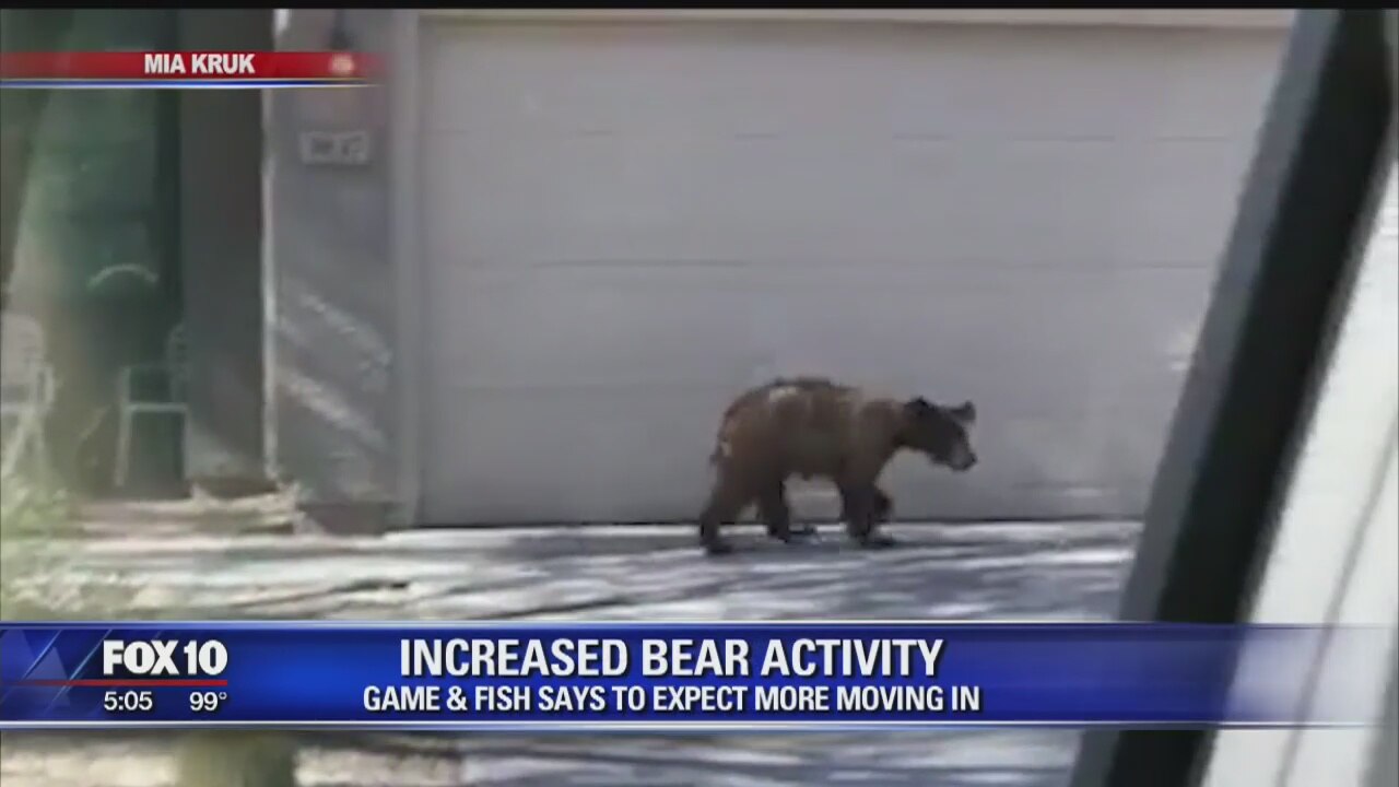 Game and Fish officials talk about increased bear activity