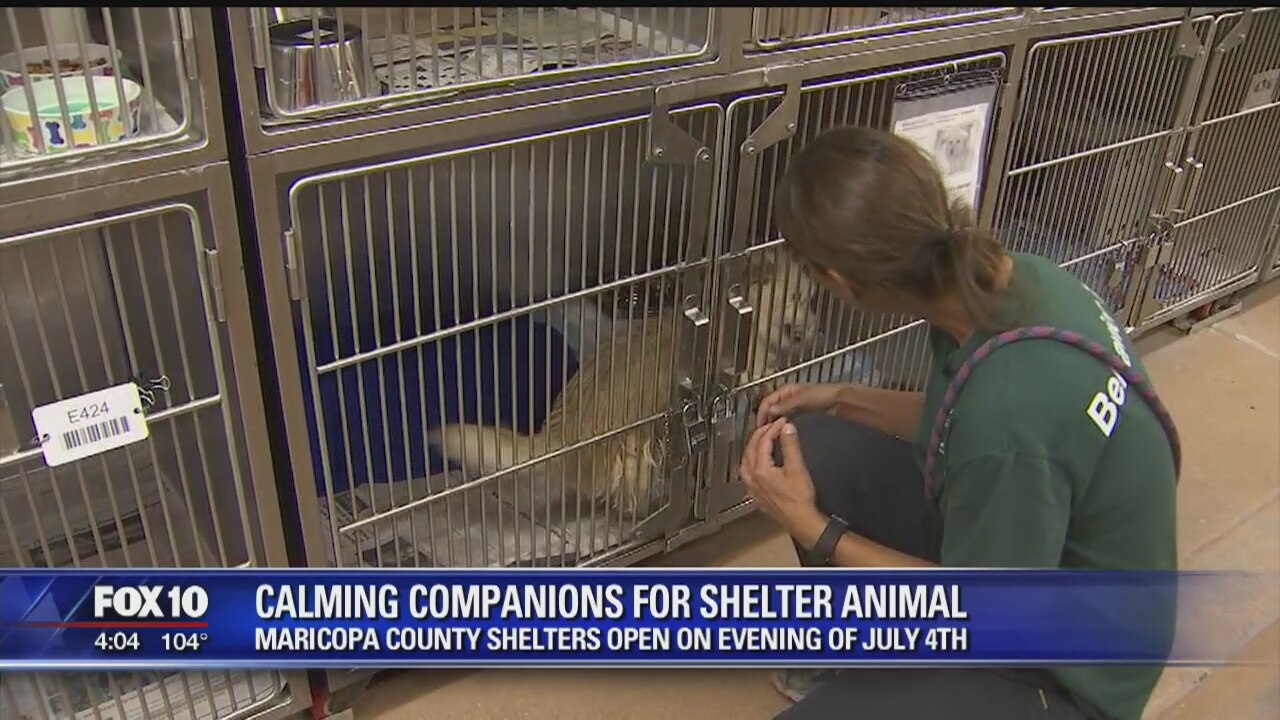 Maricopa County to open shelters for "calming companions"