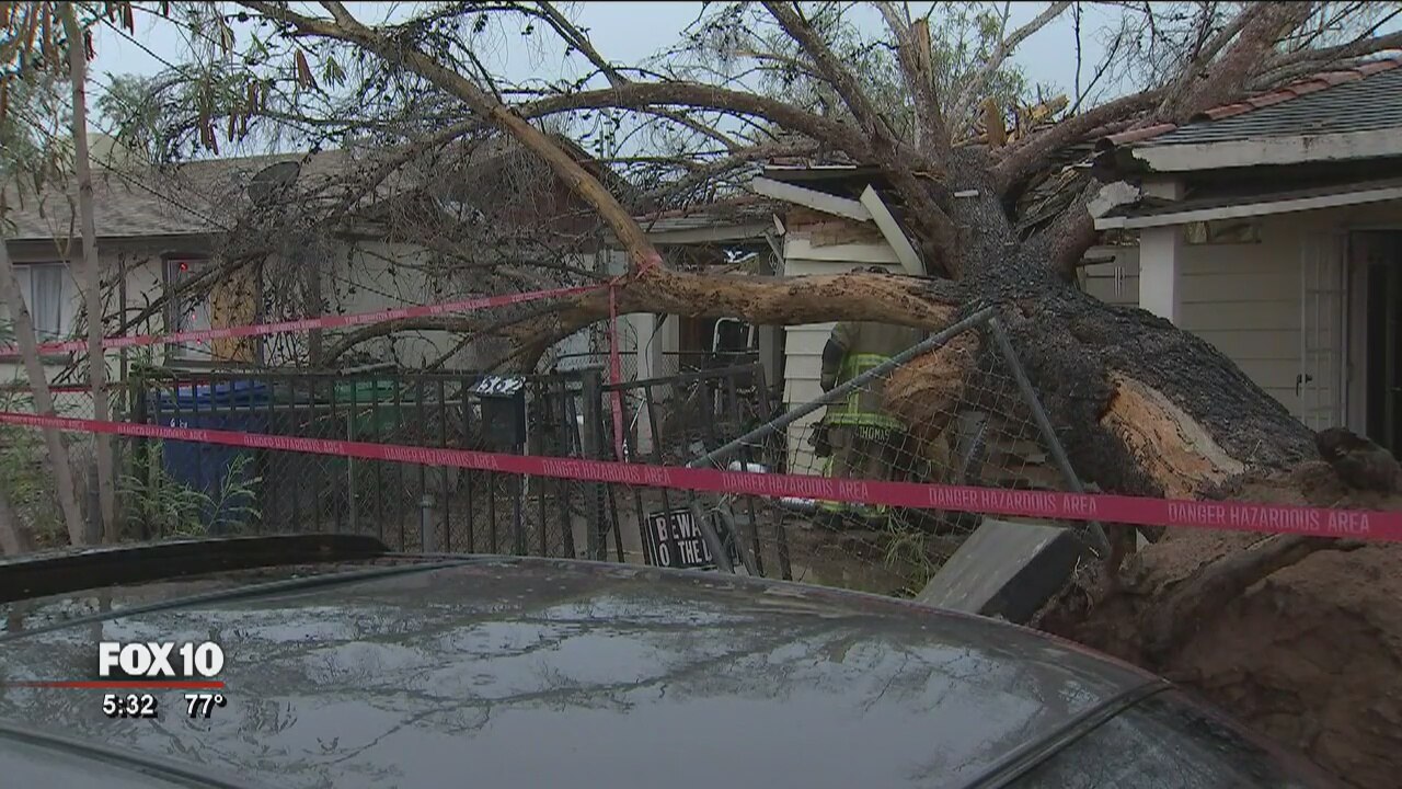 Tree falls on woman's home in Mesa