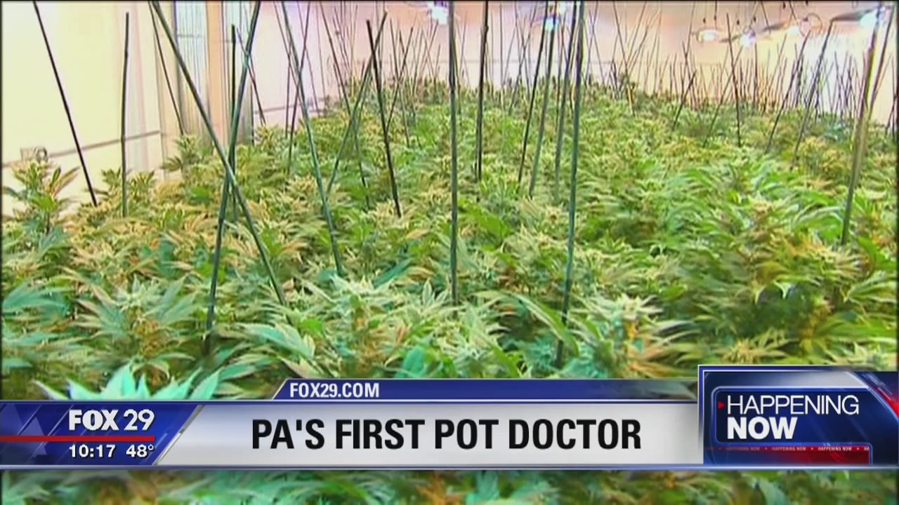 PA's first pot doctor