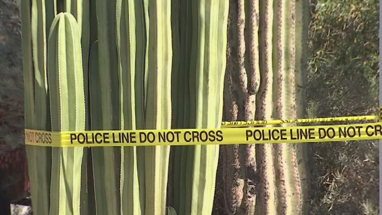 Tempe teen found at the bottom of a pool