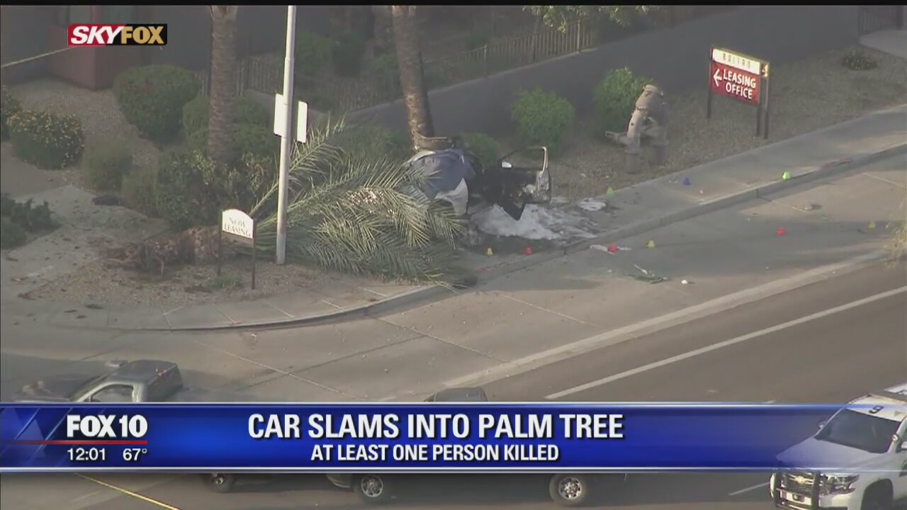 1 dead after car hits palm tree, bursts into flames