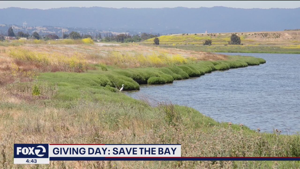 Giving Day: Save the Bay