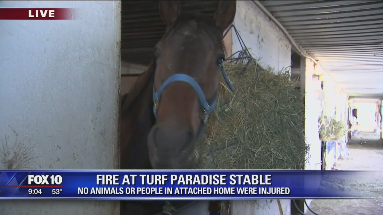 No injuries reported from fire at stable at Turf Paradise