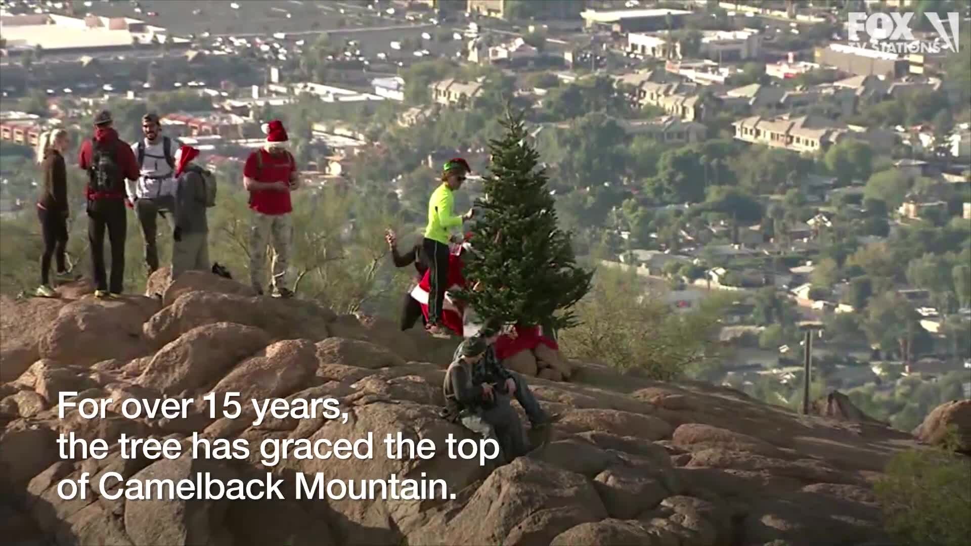 Camelback Christmas Tree returns