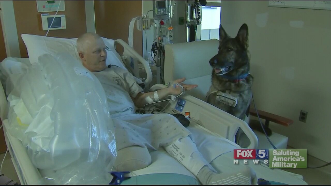 Beyond the Lens: Walter Reed Facility Dog Program