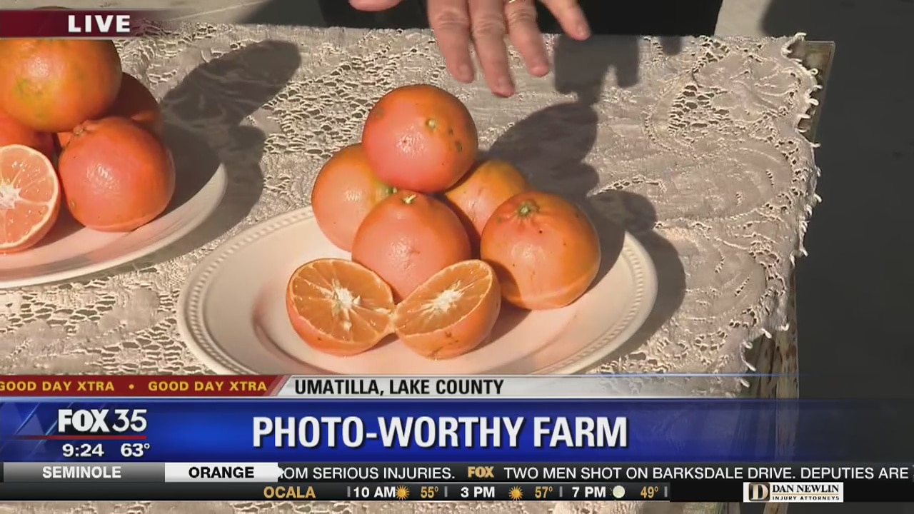 Photo-worthy farm in Umatilla