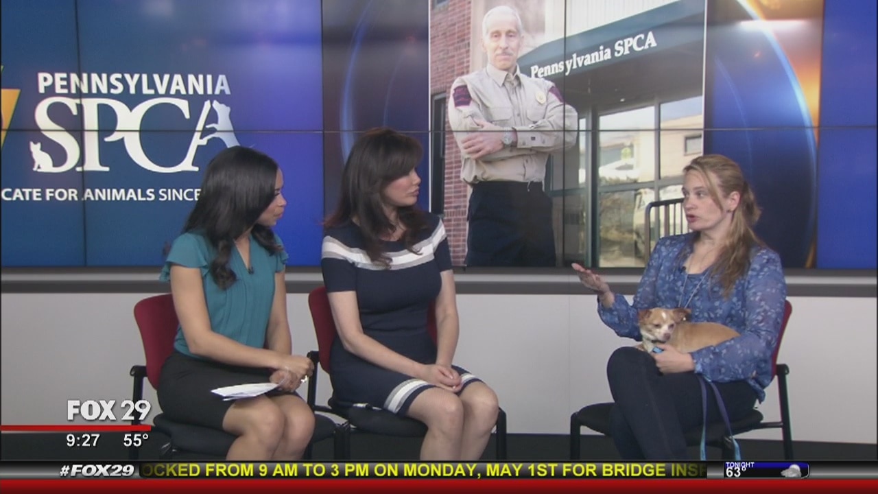 Meet the SPCA?s new director of humane law enforcement, Nicole Wilson