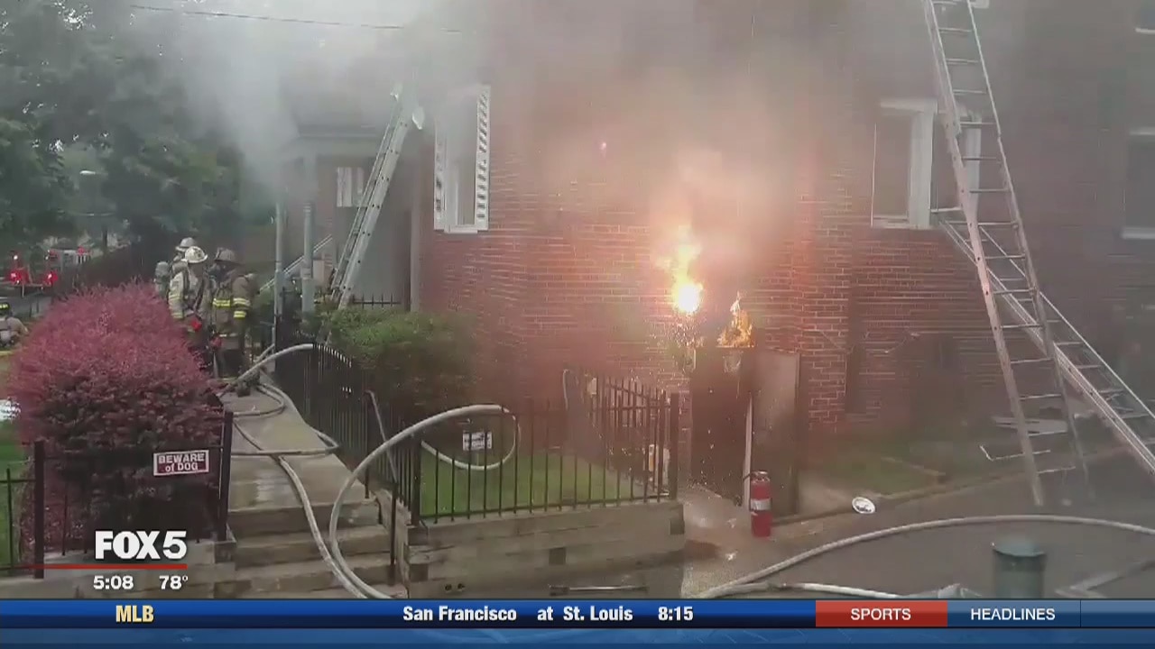 Several families, turtles displaced after Southeast fire