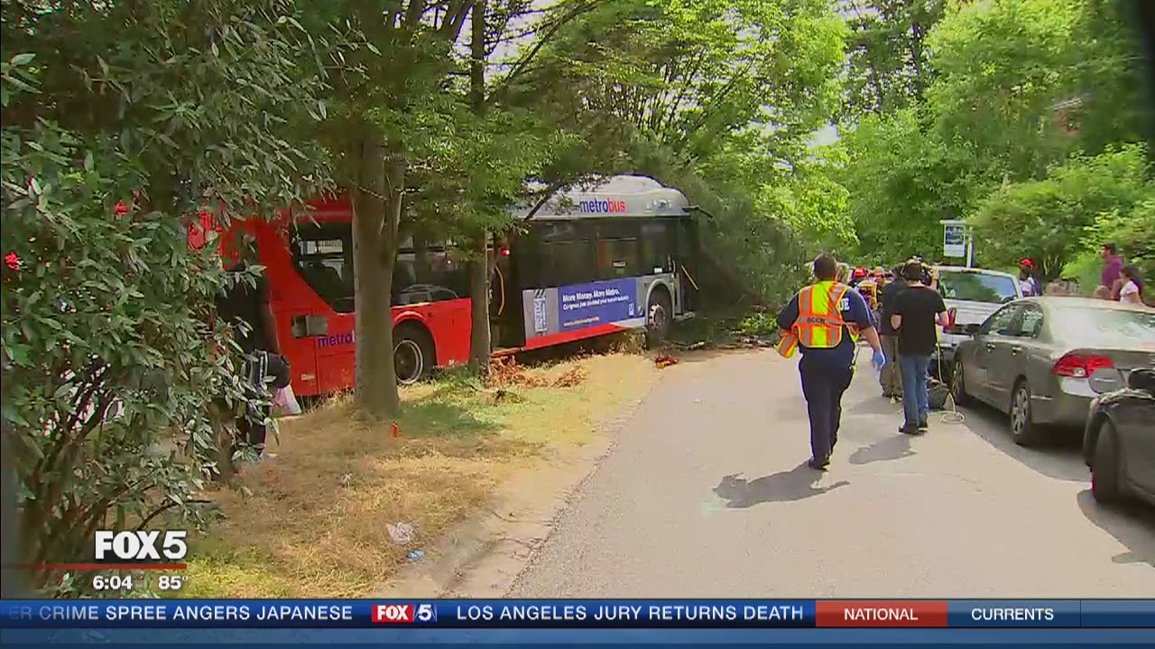 Metrobus crashes into tree after collision with truck in Silver Spring
