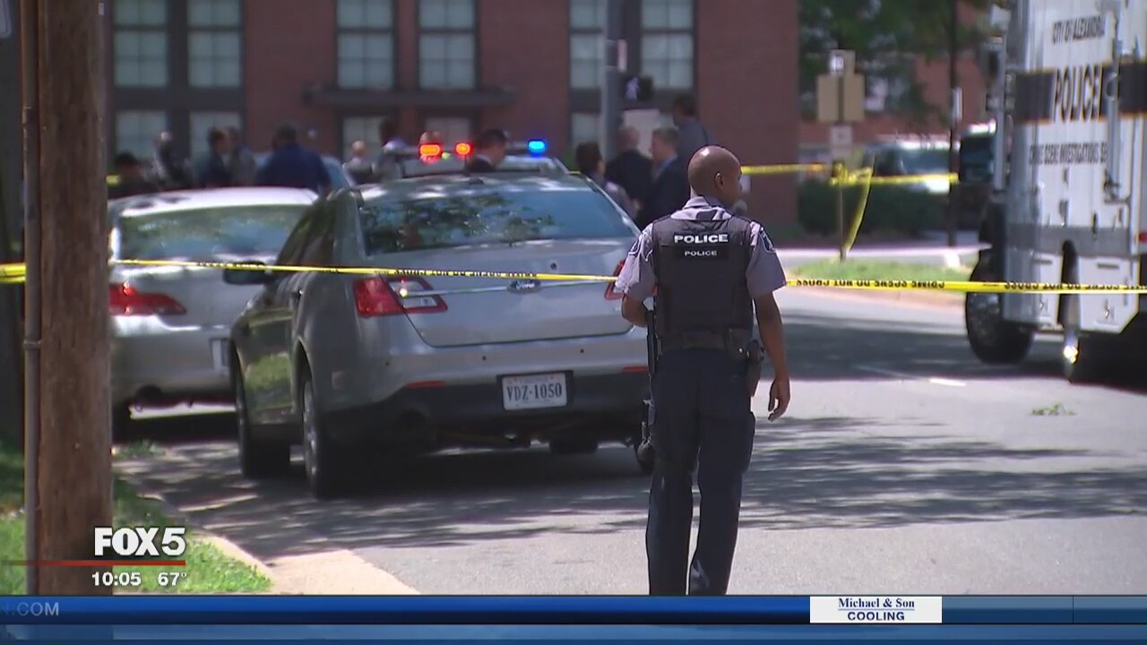 Man shot and killed in Alexandria