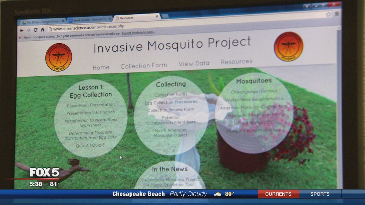 Md. students helping track mosquitos that may carry Zika