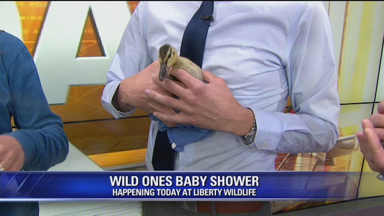 Liberty Wildlife hosts annual baby shower