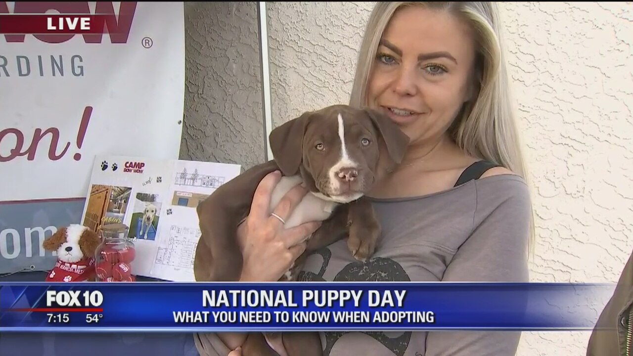 National Puppy Day