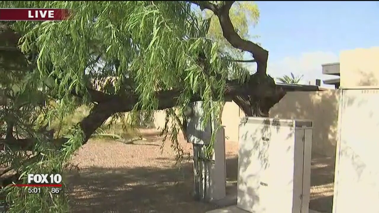 Storm brings winds, cooler temps to the Valley and state