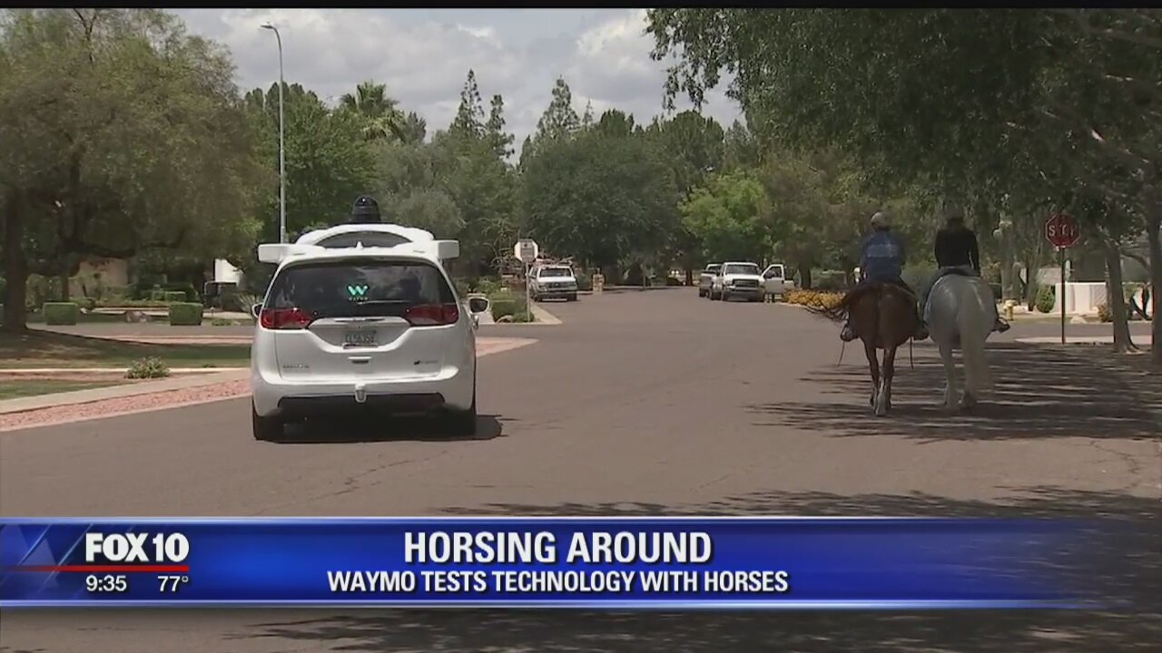 Self-driving car company tests interactions with their cars and horses