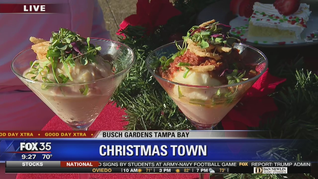 David Does It: Christmas Town at Busch Gardens