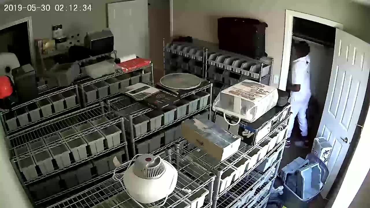 RAW VIDEO: Police search for suspect who broke into 2 south Phoenix homes