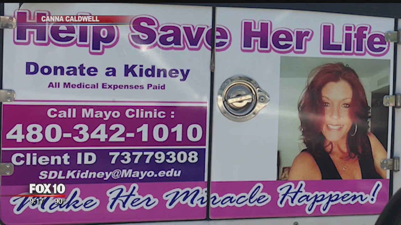 Woman battles kidney disease, asks for help
