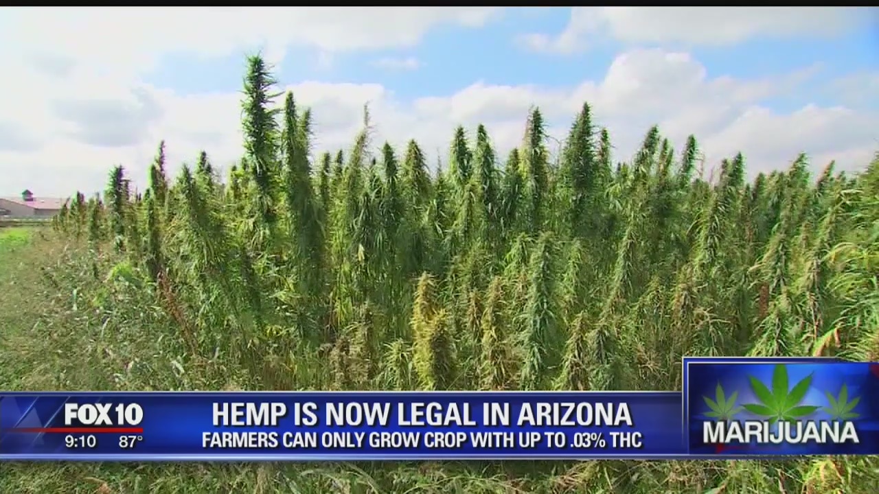 Farmers are now able to legally grow hemp in Arizona