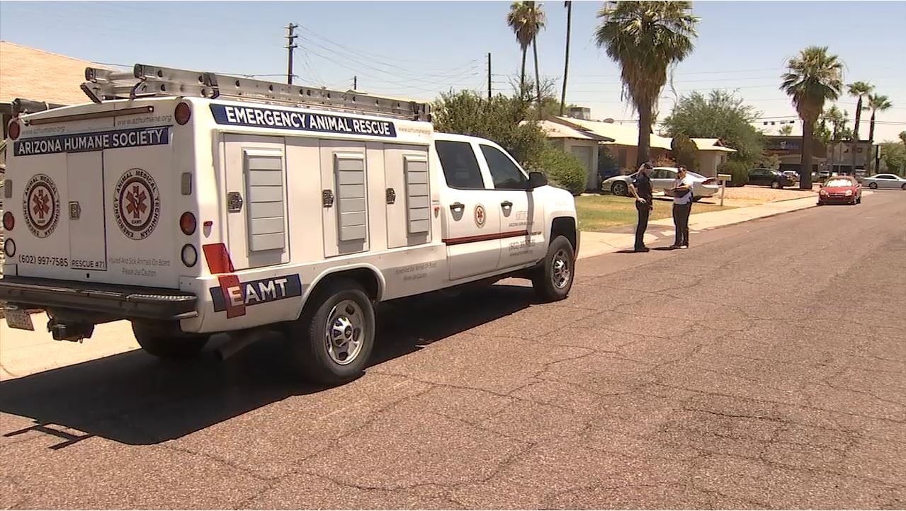 Phoenix only city with police dept. with animal investigations unit