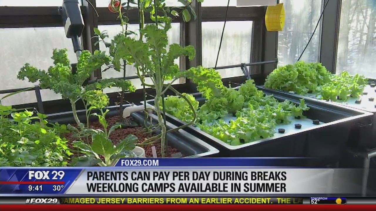 Spring break camp keeps kids immersed in nature and science