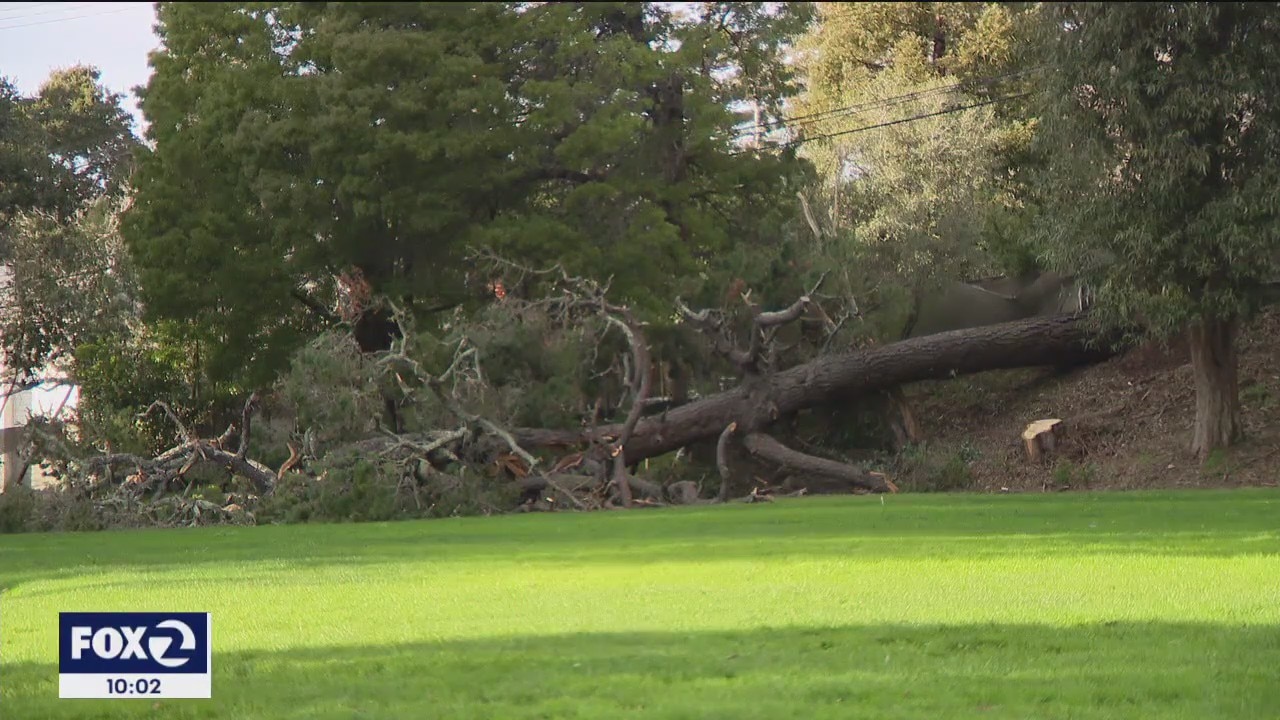 Mudslides, landslides, downed trees lead to youth sports cancellations in the East Bay