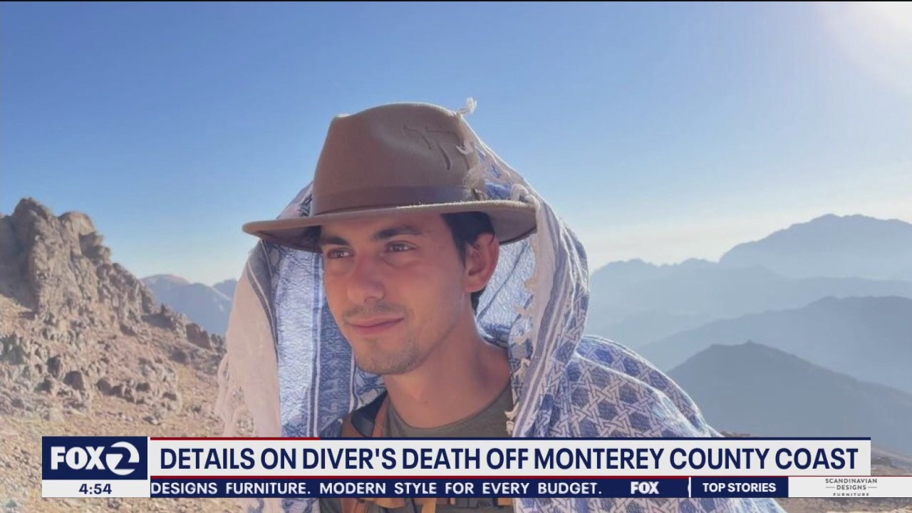 Missing Bay Area diver found dead