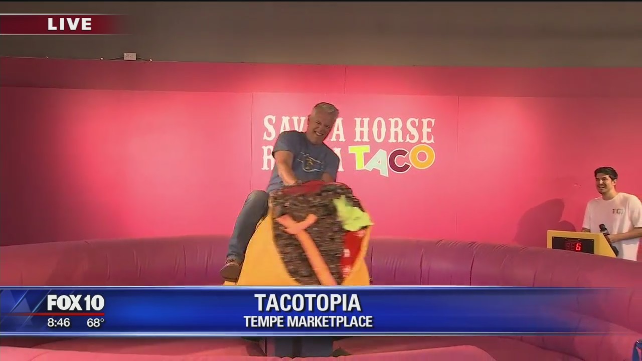 Cory's Corner: Tacotopia