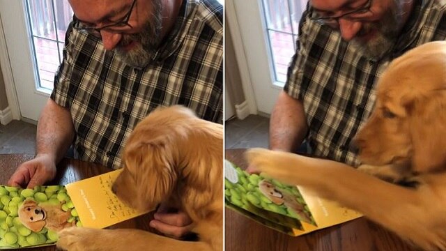 Dog quickly becomes big fan of musical Father's Day card
