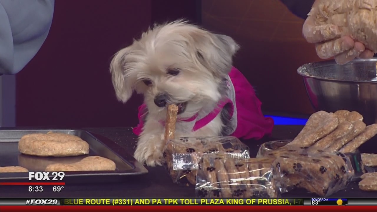 How to make homemade dog treats for National Dog Day