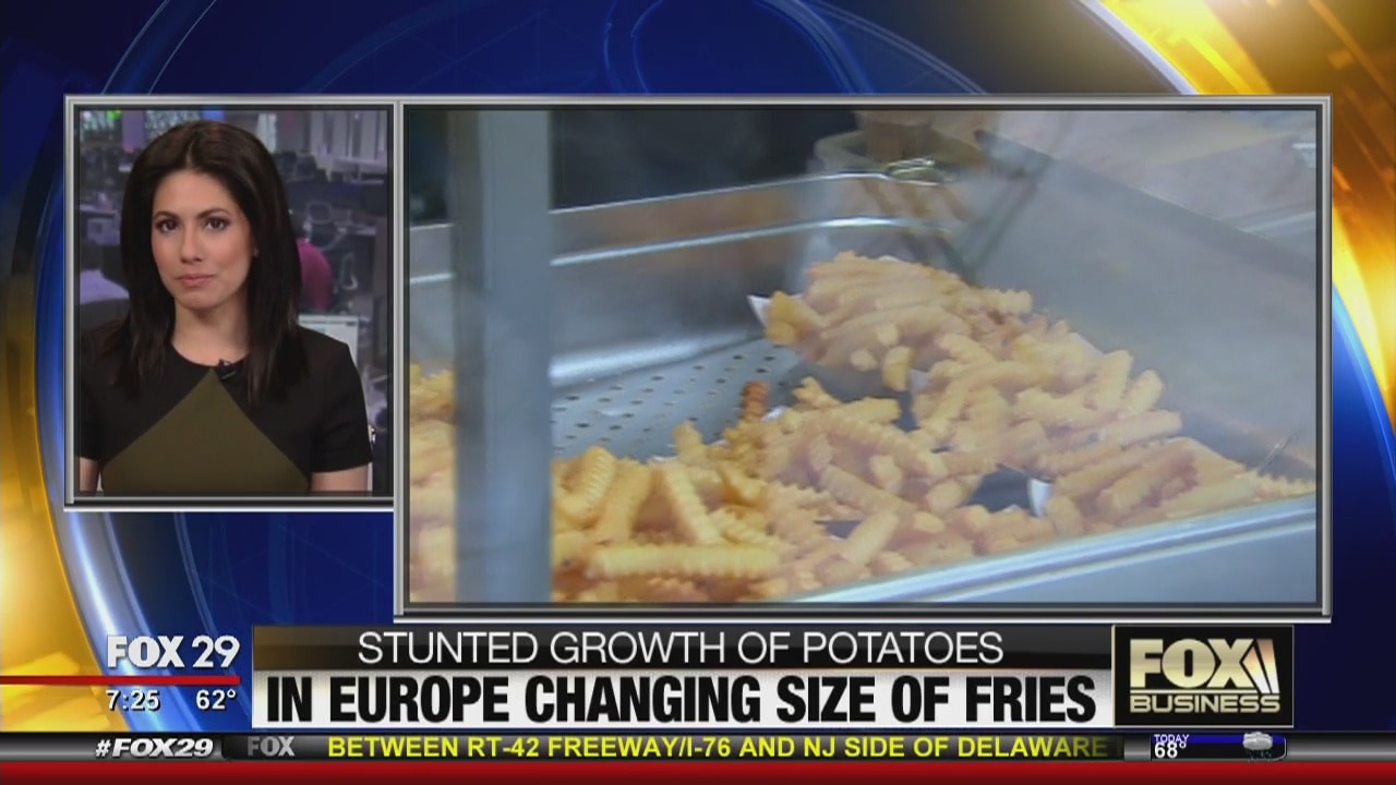 Stunted growth of potatoes in Europe changing size of fries