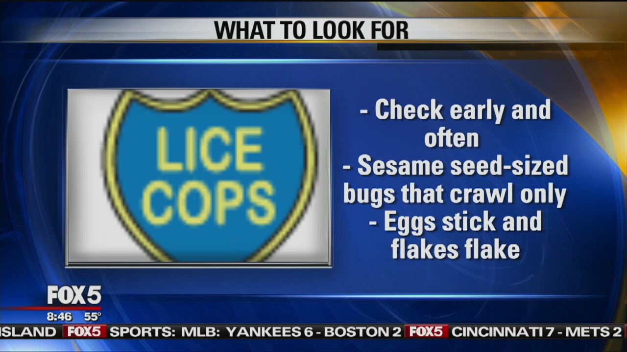 Tips from 'Lice Cop'