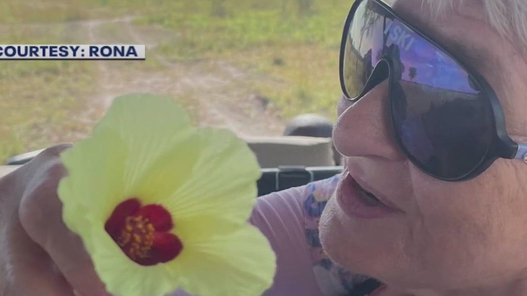 Woman, 79. killed by charging elephant in Zambia